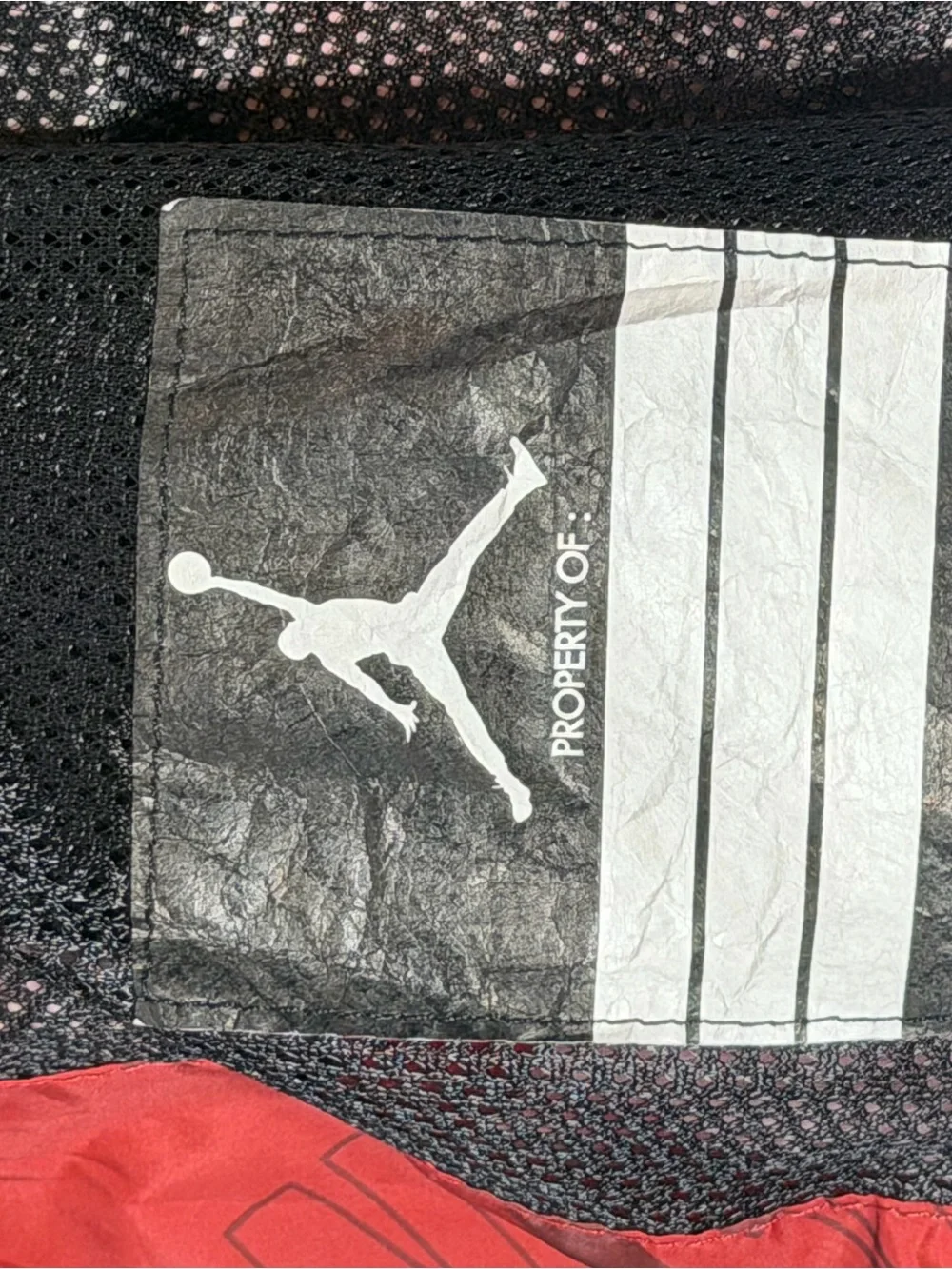 Jordan boys 12yr- 13yr Red Graphic Jumpman Windbreaker with Hood